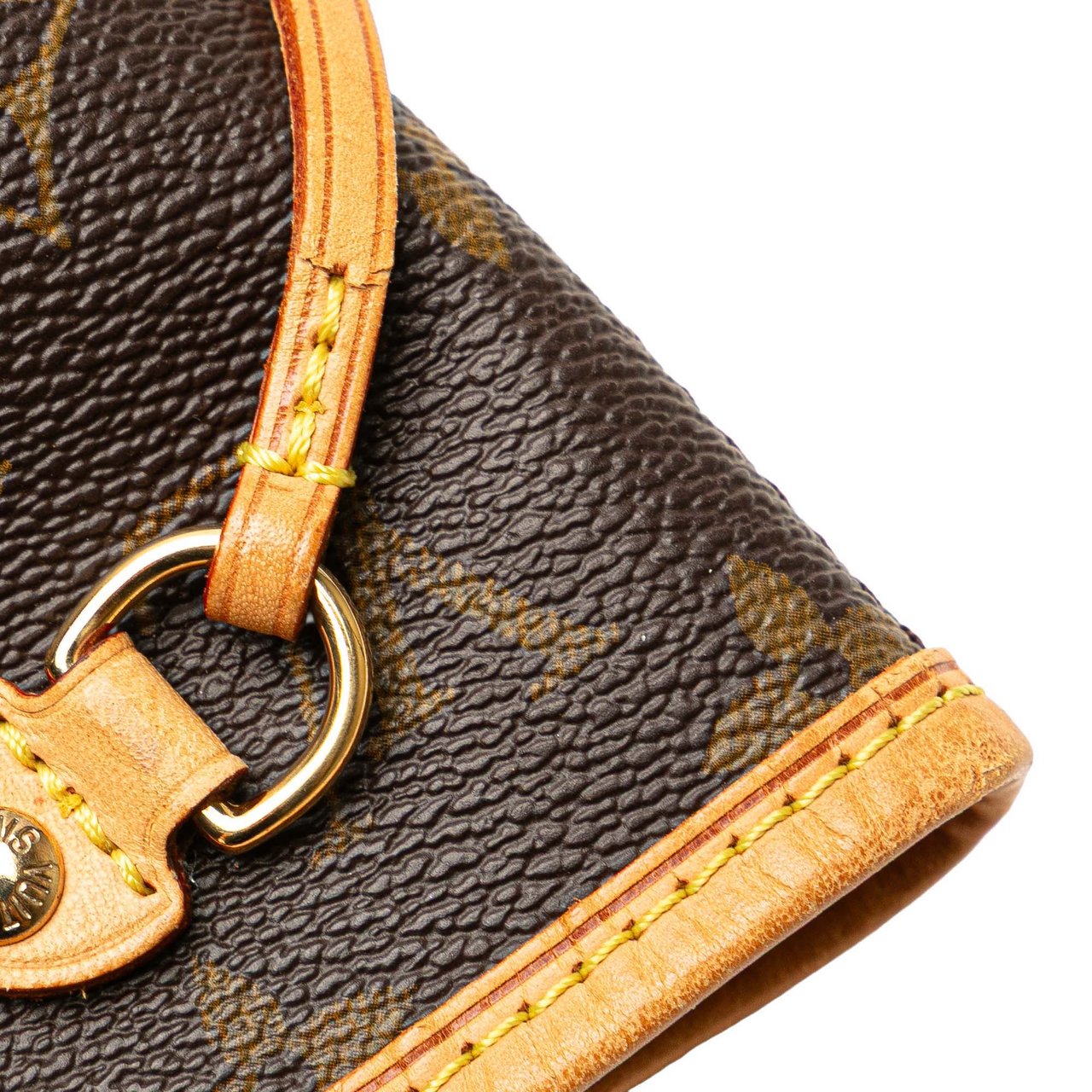 Louis Vuitton Monogram Neverfull PM Bruin