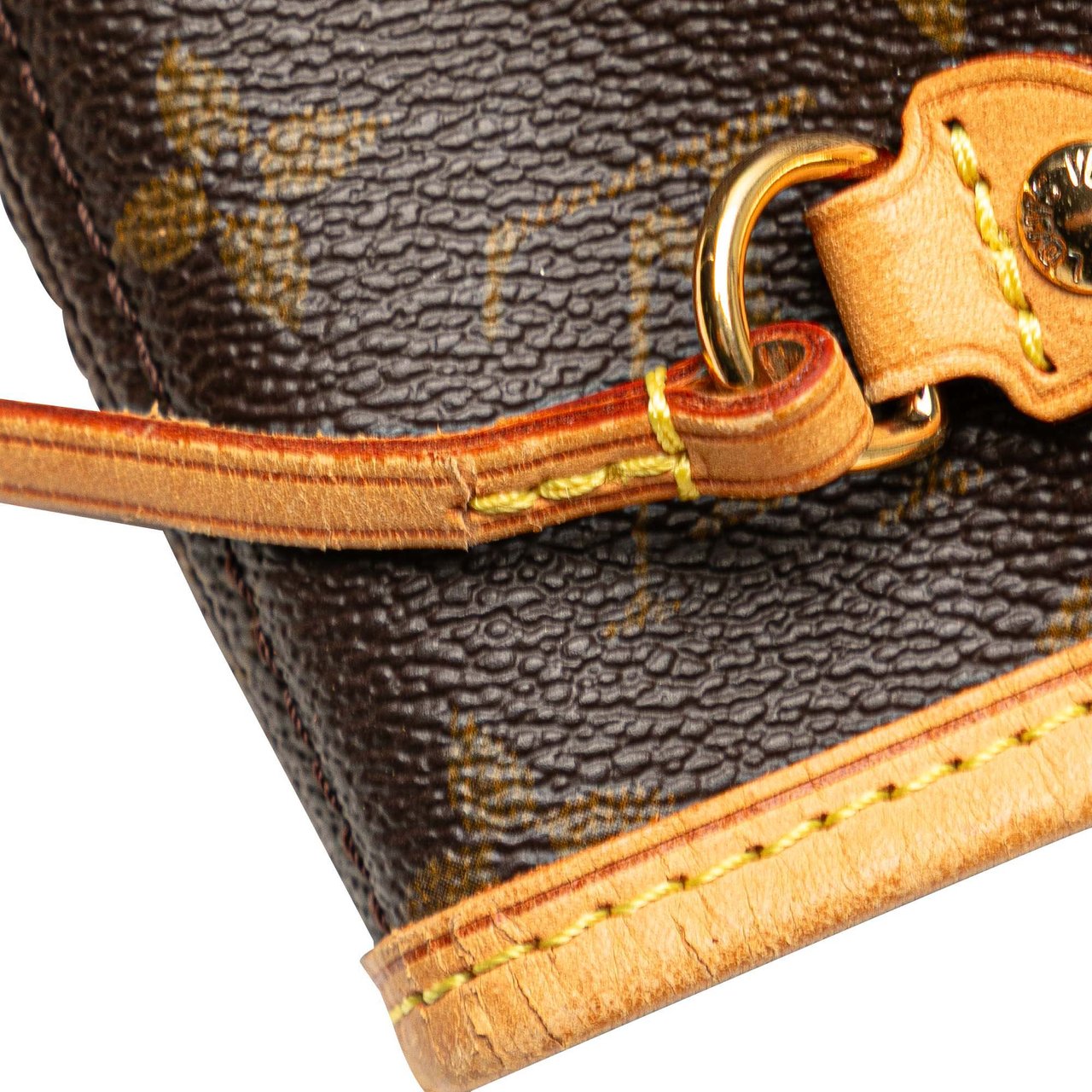 Louis Vuitton Monogram Neverfull PM Bruin