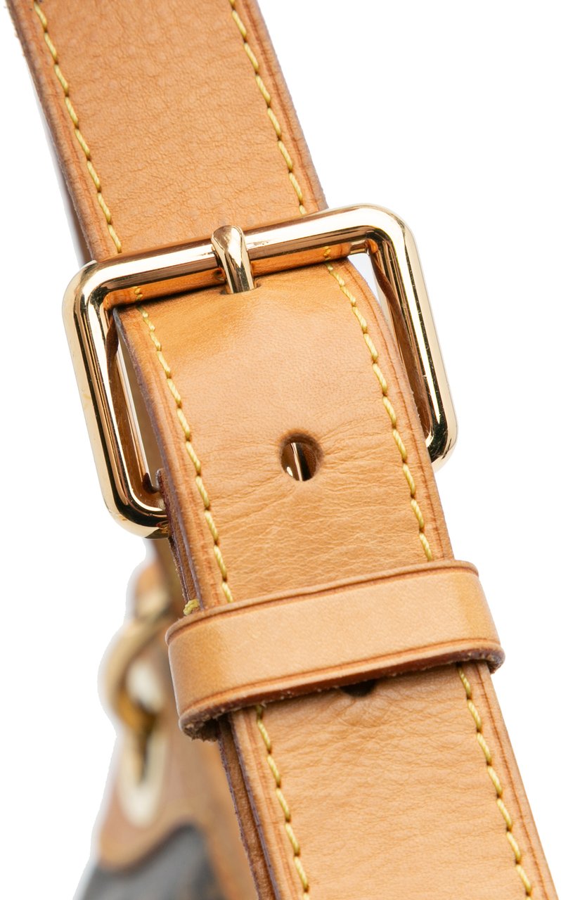 Louis Vuitton Monogram Galliera PM Bruin