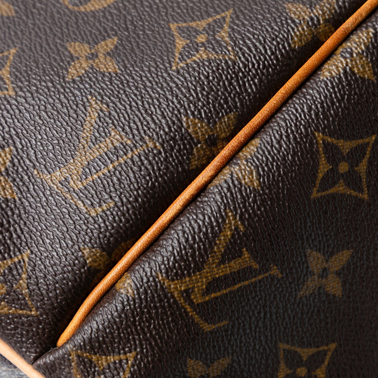 Louis Vuitton Monogram Palermo GM Bruin