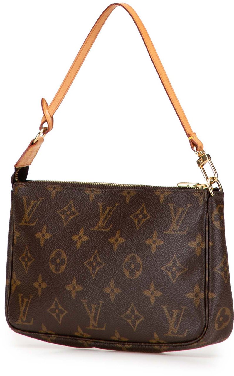 Louis Vuitton Monogram Pochette Accessoires Bruin