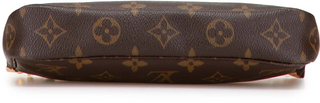 Louis Vuitton Monogram Pochette Accessoires Bruin