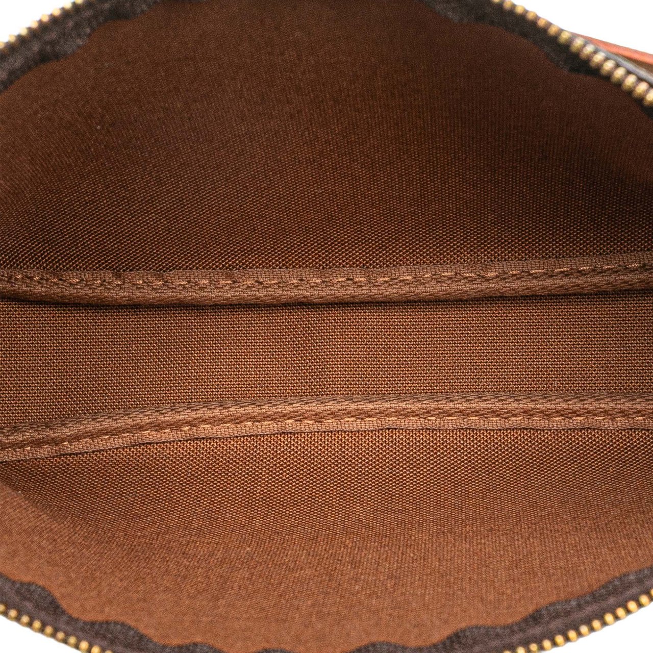 Louis Vuitton Monogram Pochette Accessoires Bruin