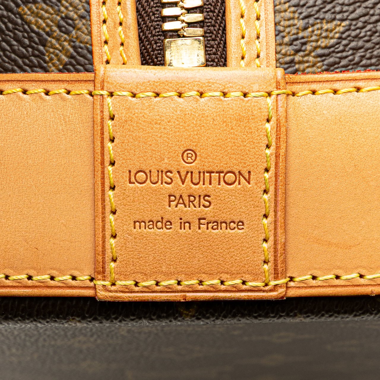 Louis Vuitton Monogram Alma Voyage MM Bruin