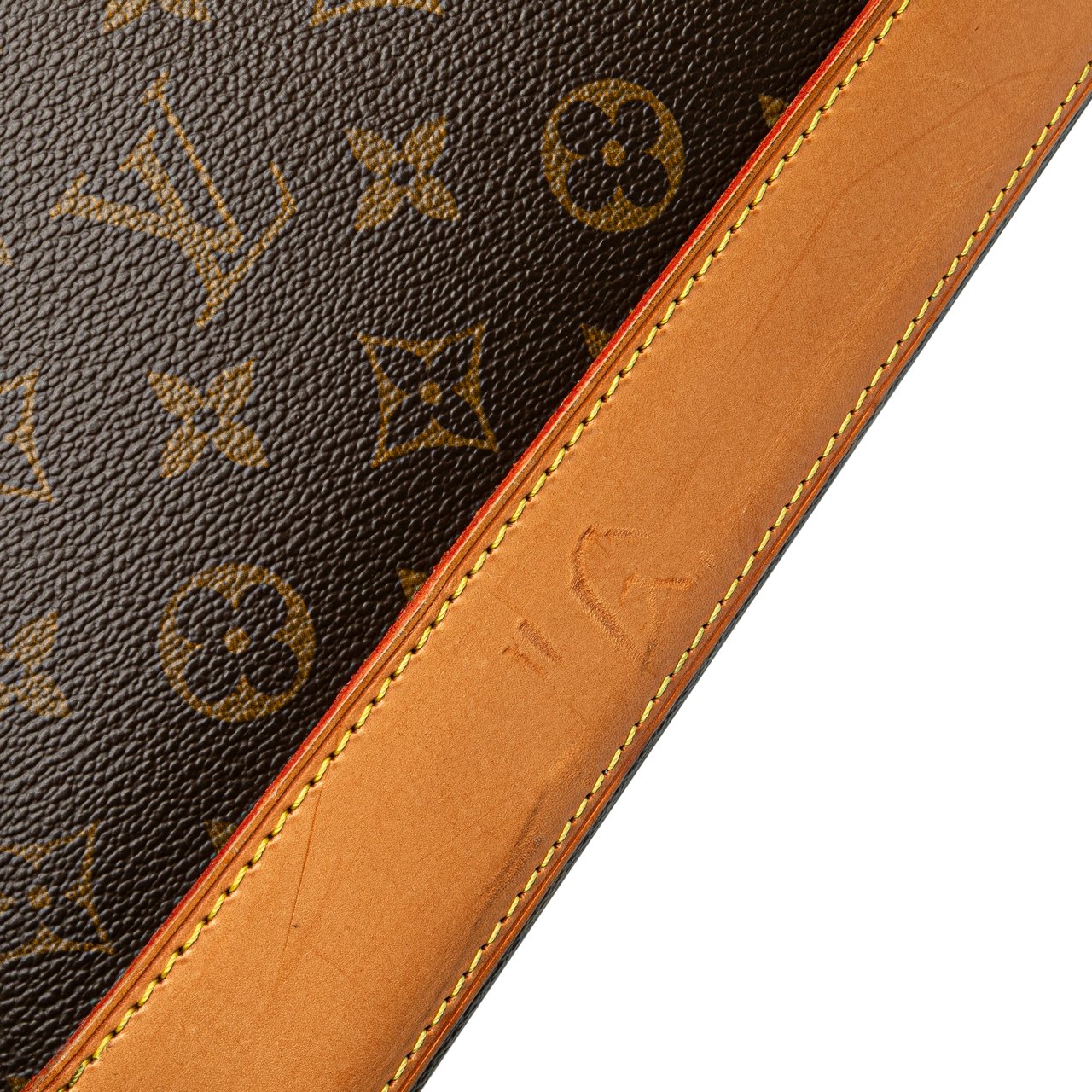 Louis Vuitton Monogram Alma Voyage MM Bruin