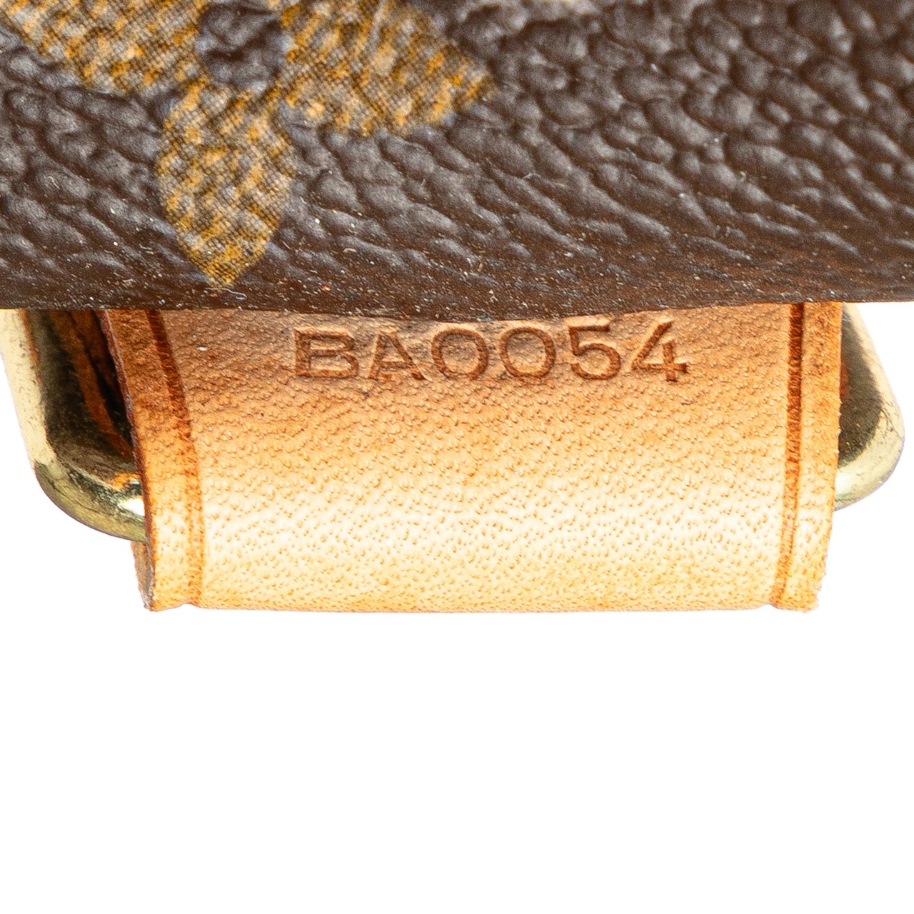Louis Vuitton Monogram Alma Voyage MM Bruin