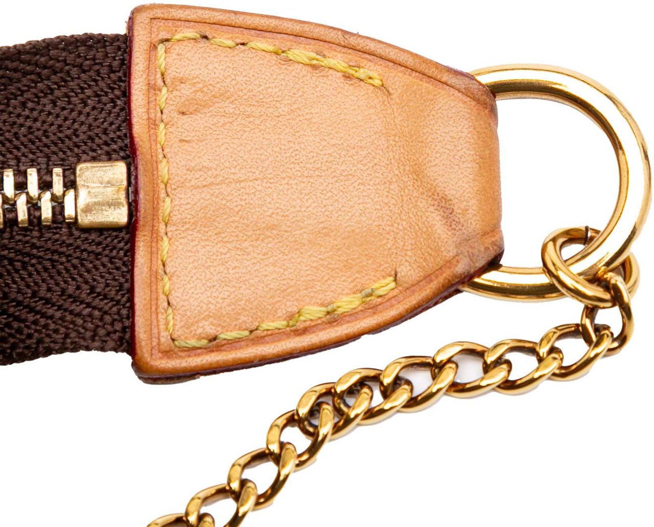 Louis Vuitton Monogram Mini Pochette Accessoires Bruin