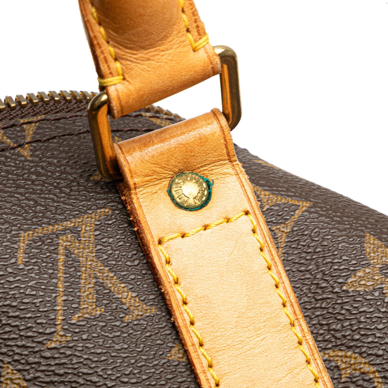 Louis Vuitton Monogram Keepall 50 Bruin