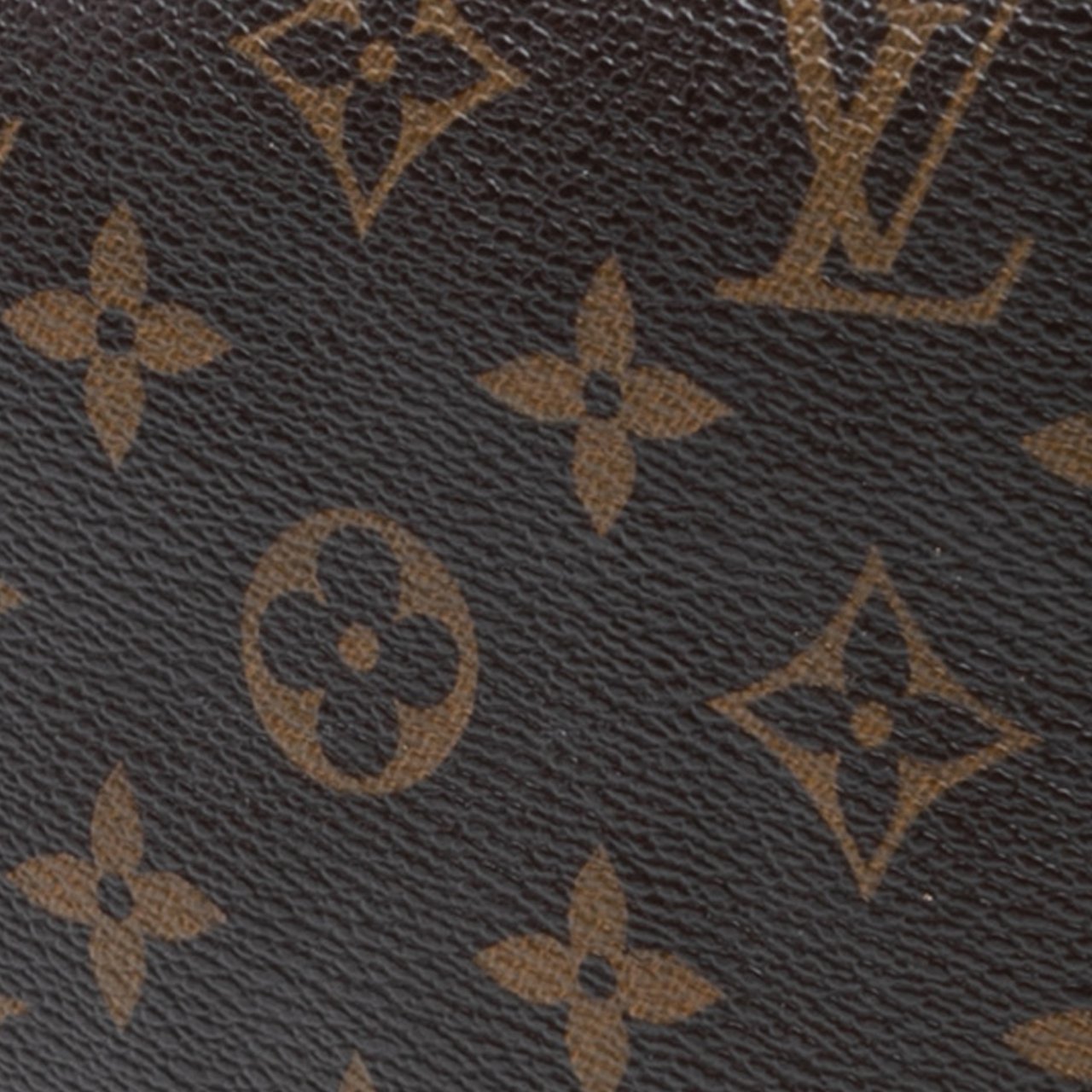 Louis Vuitton Monogram Pochette Accessoires Bruin