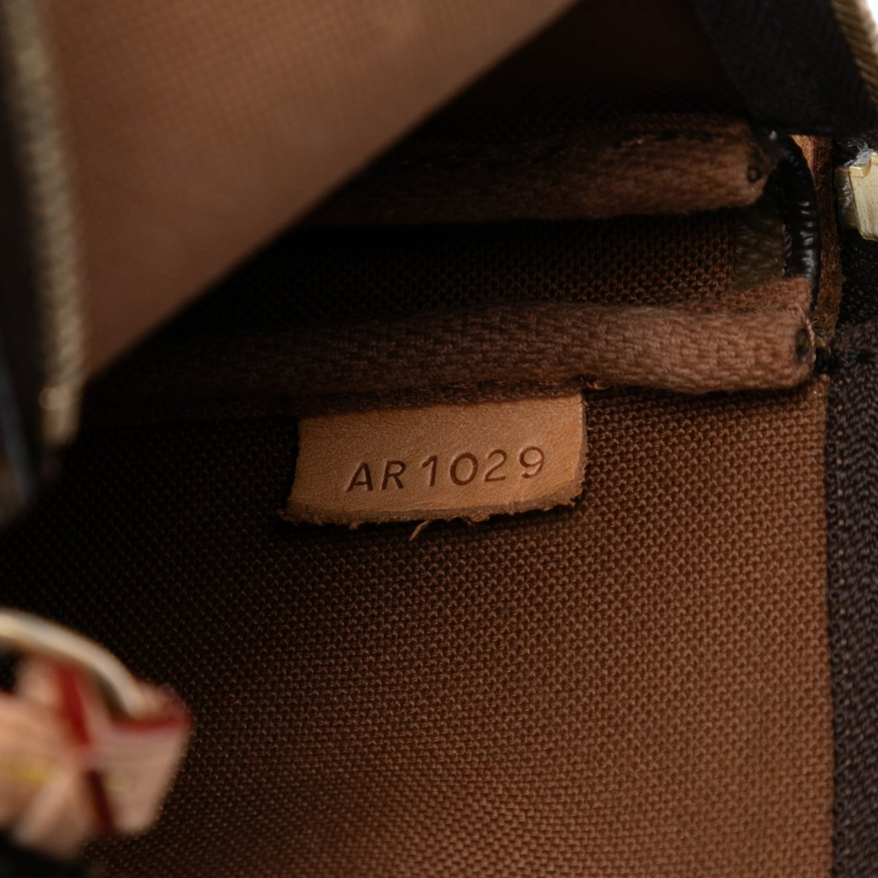 Louis Vuitton Monogram Pochette Accessoires Bruin