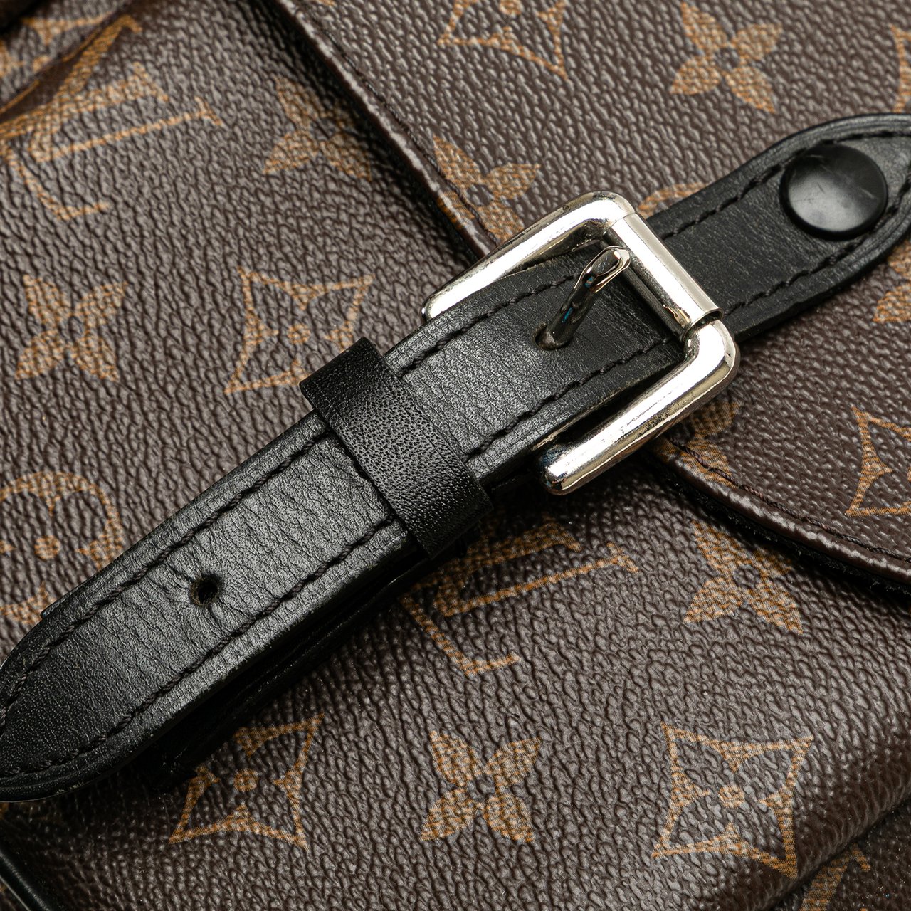 Louis Vuitton Monogram Macassar Christopher Messenger Bruin