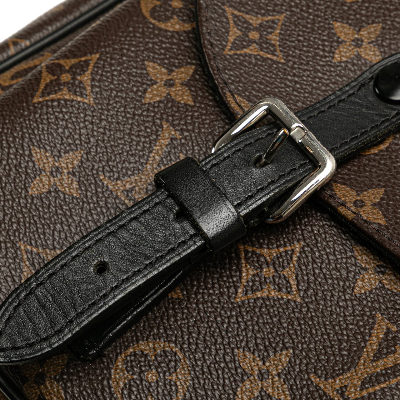 Louis Vuitton Monogram Macassar Christopher Messenger Bruin