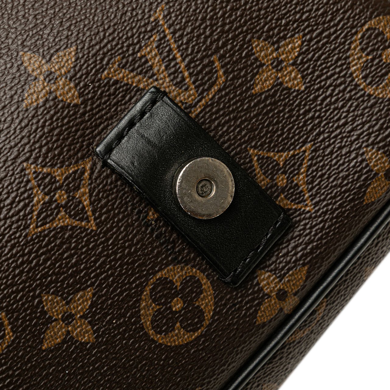 Louis Vuitton Monogram Macassar Christopher Messenger Bruin