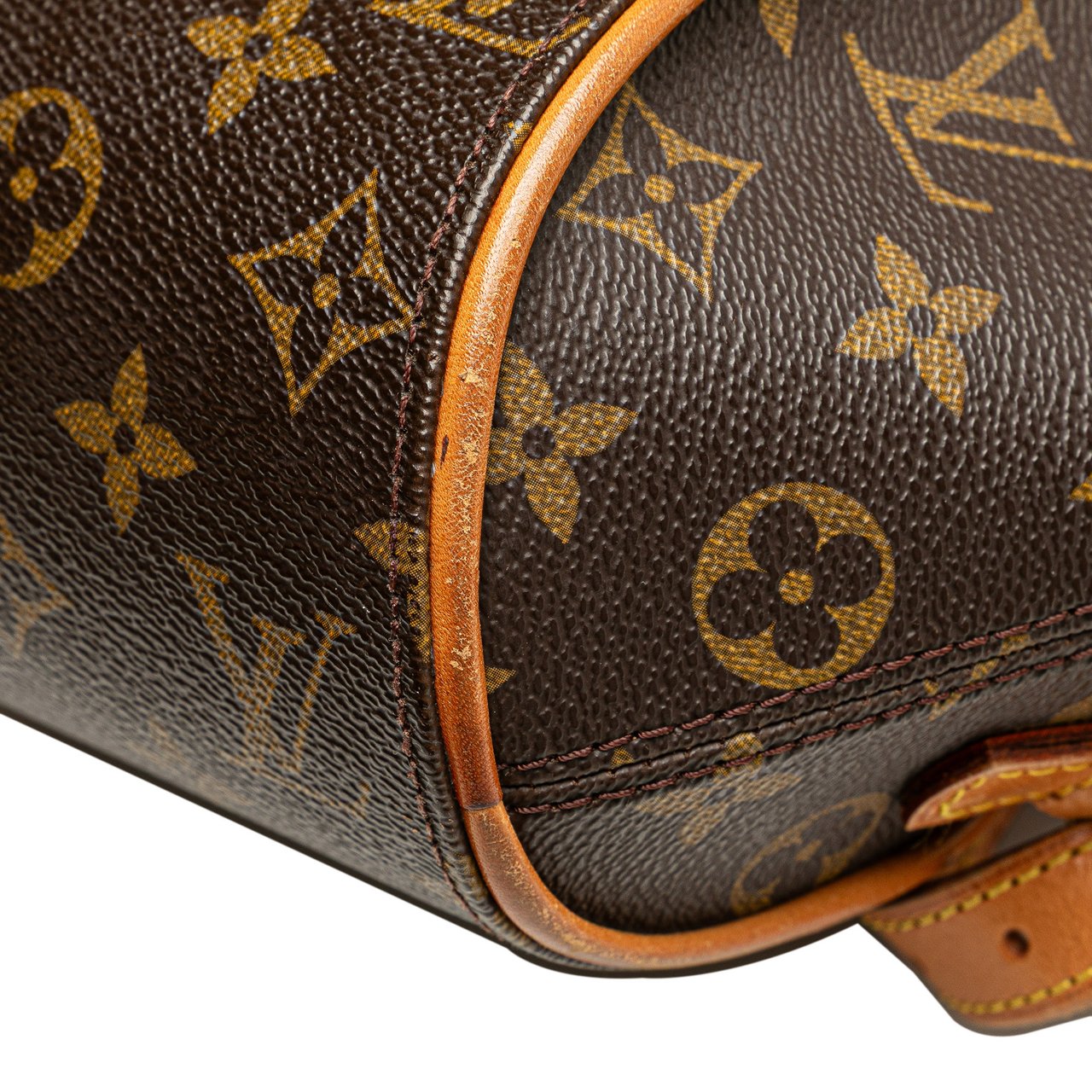 Louis Vuitton Monogram Ellipse Backpack Bruin