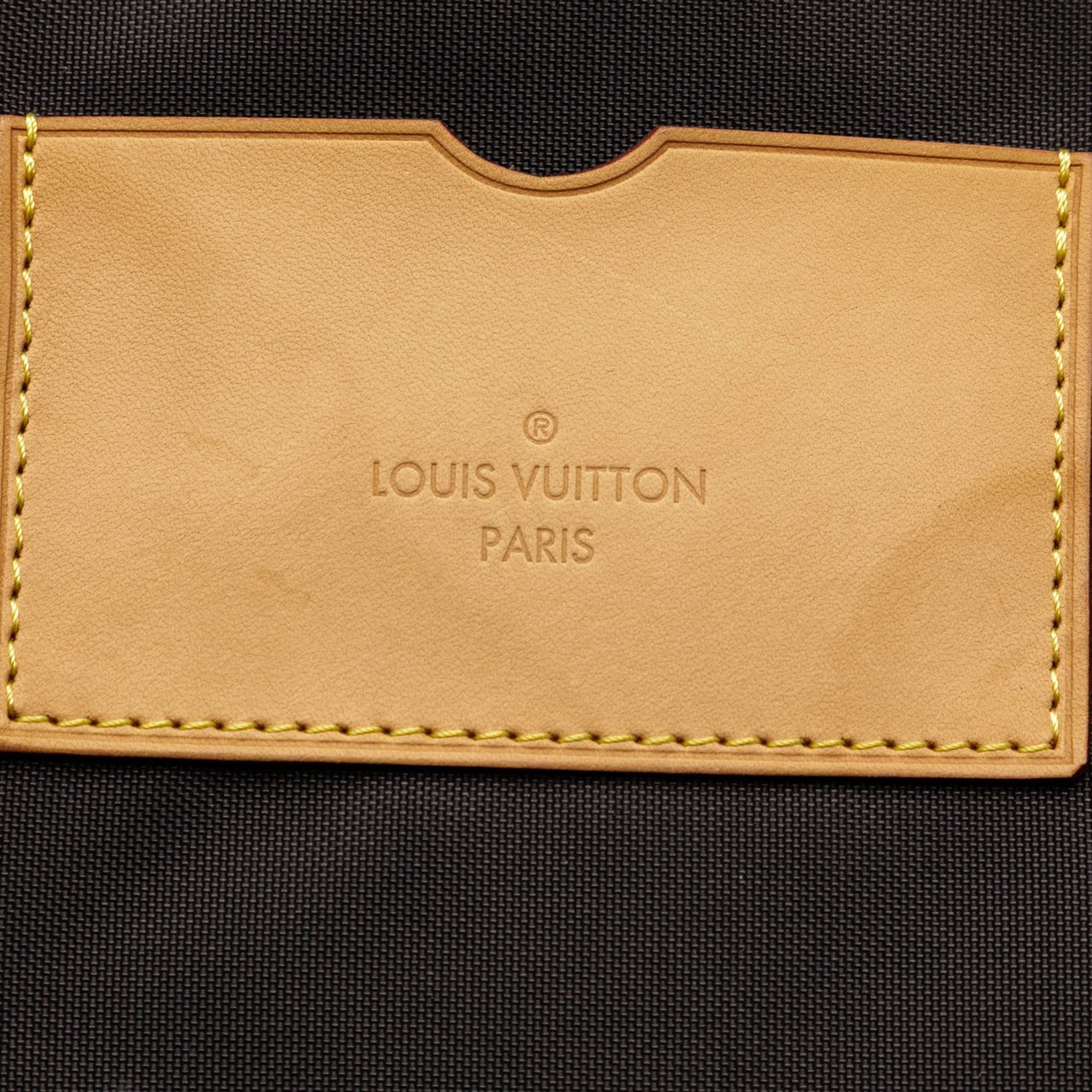 Louis Vuitton Monogram Pegase 55 Bruin