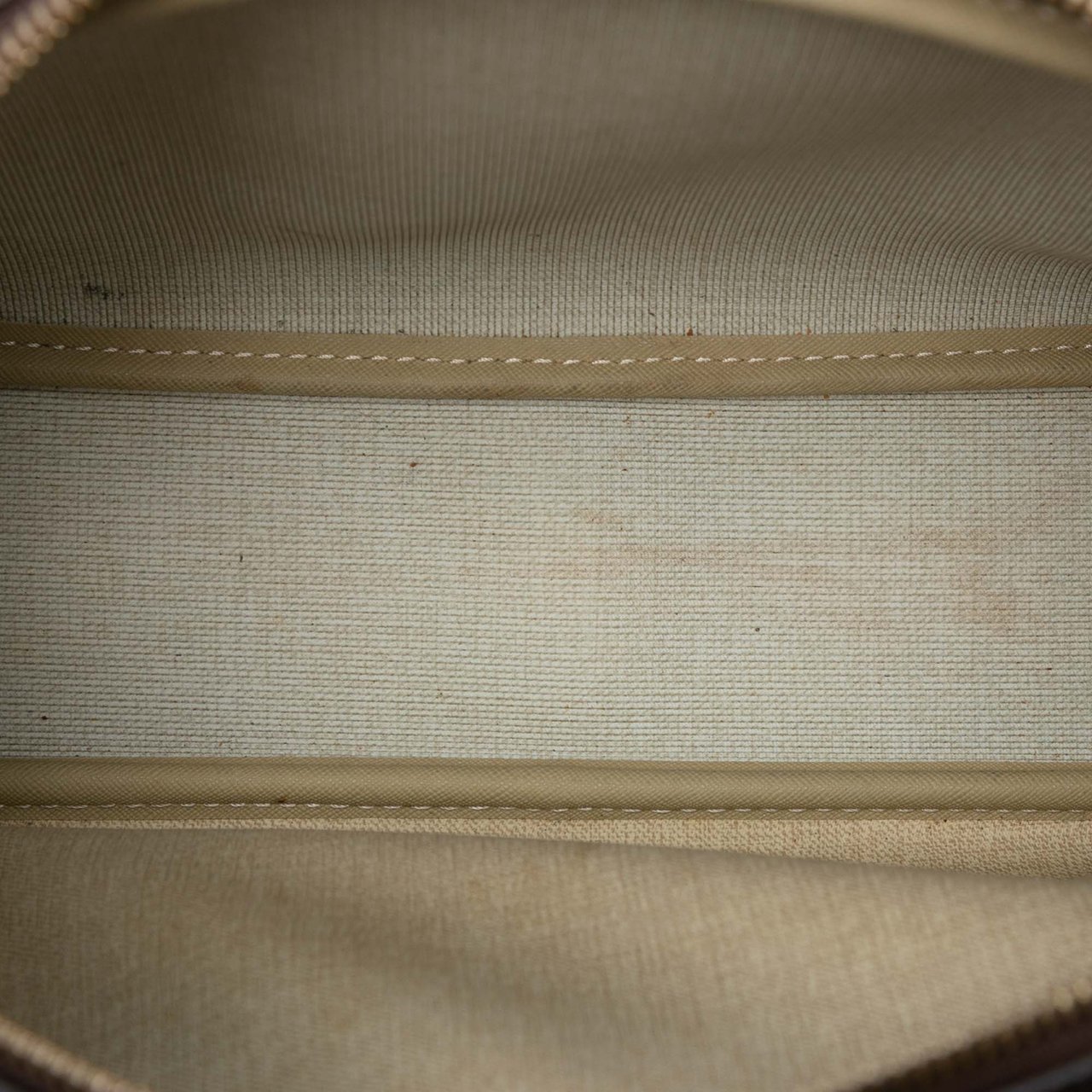 Louis Vuitton Monogram Reporter PM Bruin