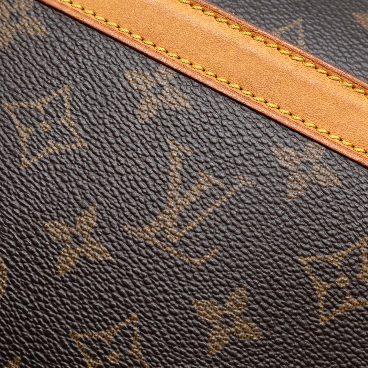 Louis Vuitton Monogram Reporter PM Bruin