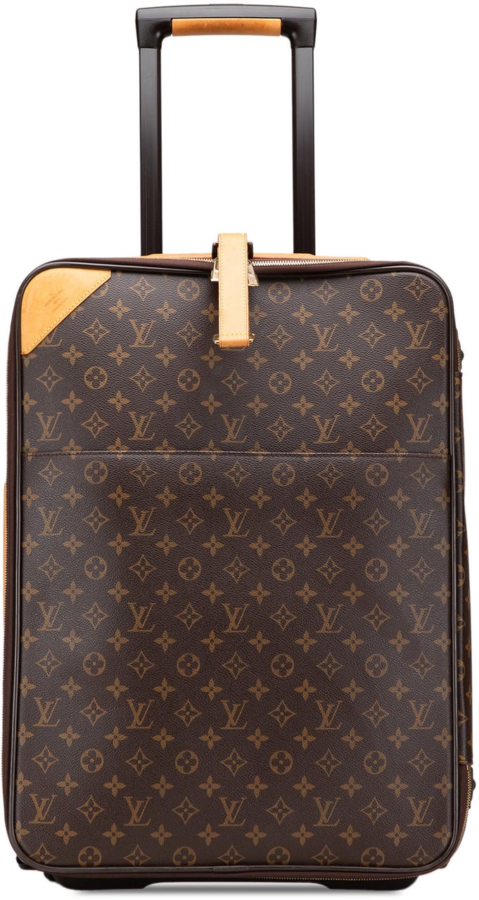 Louis Vuitton Monogram Pegase 55 Bruin