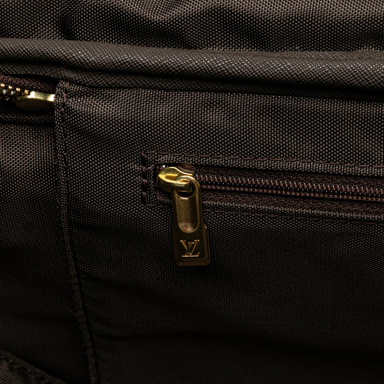 Louis Vuitton Monogram Pegase 55 Bruin