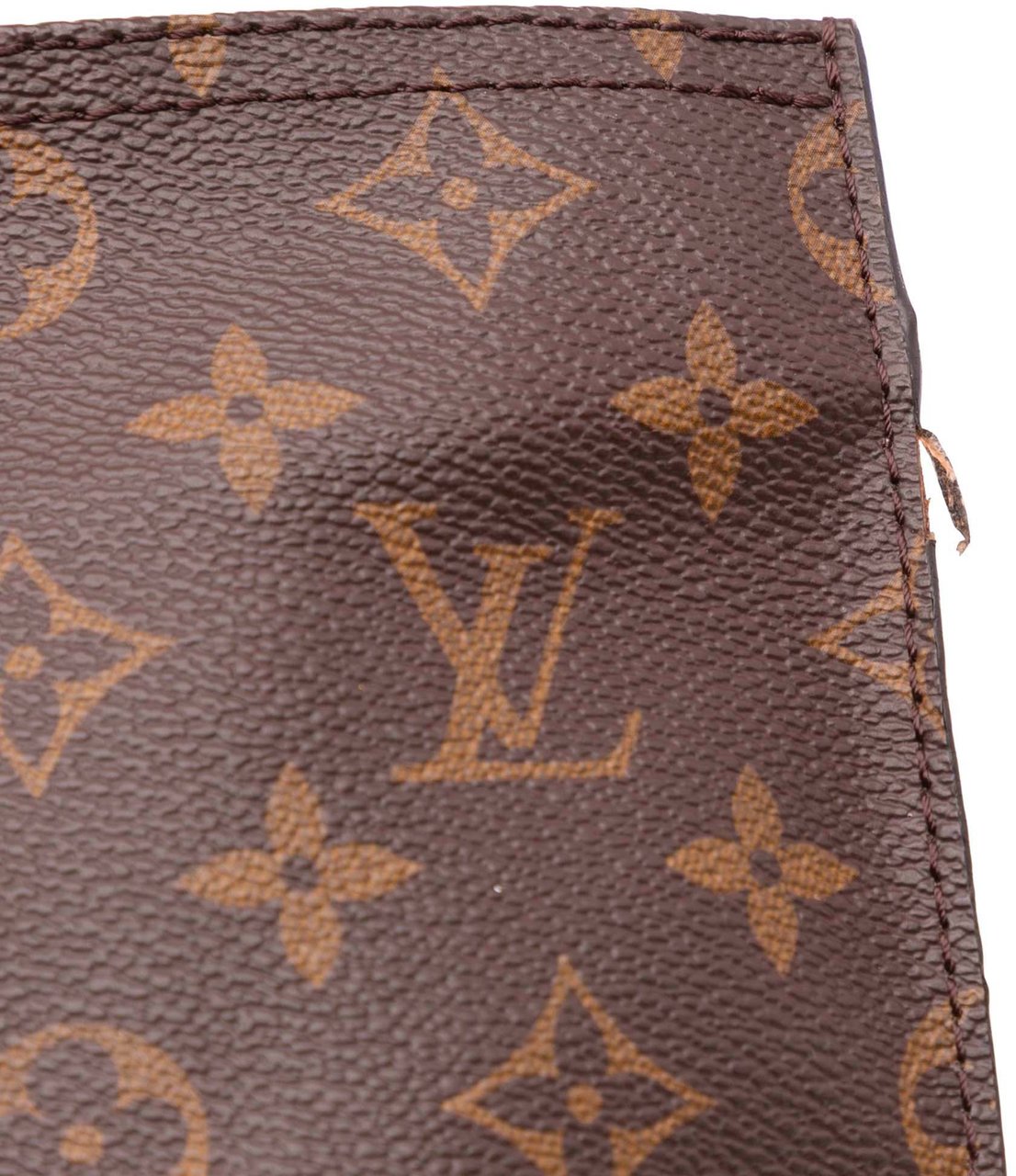 Louis Vuitton Monogram All-In PM Bruin