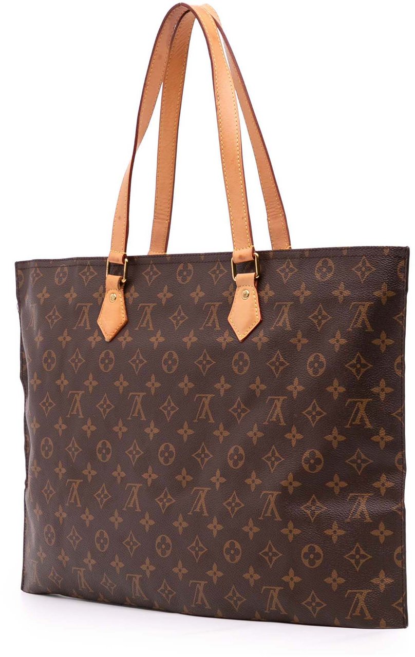 Louis Vuitton Monogram All-In PM Bruin