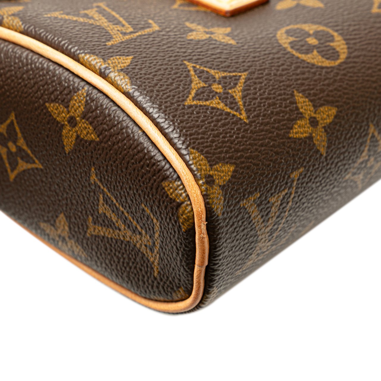 Louis Vuitton Monogram Sonatine Bruin