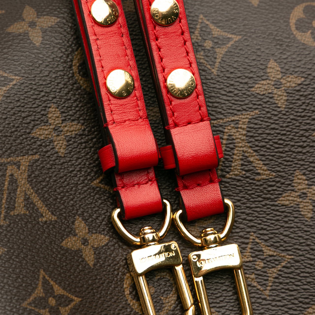 Louis Vuitton Monogram Neonoe MM Bruin