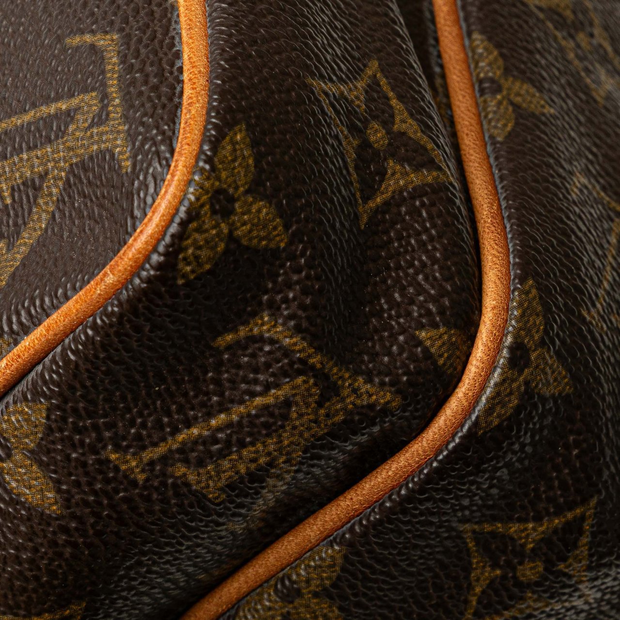 Louis Vuitton Monogram Mini Amazone Bruin