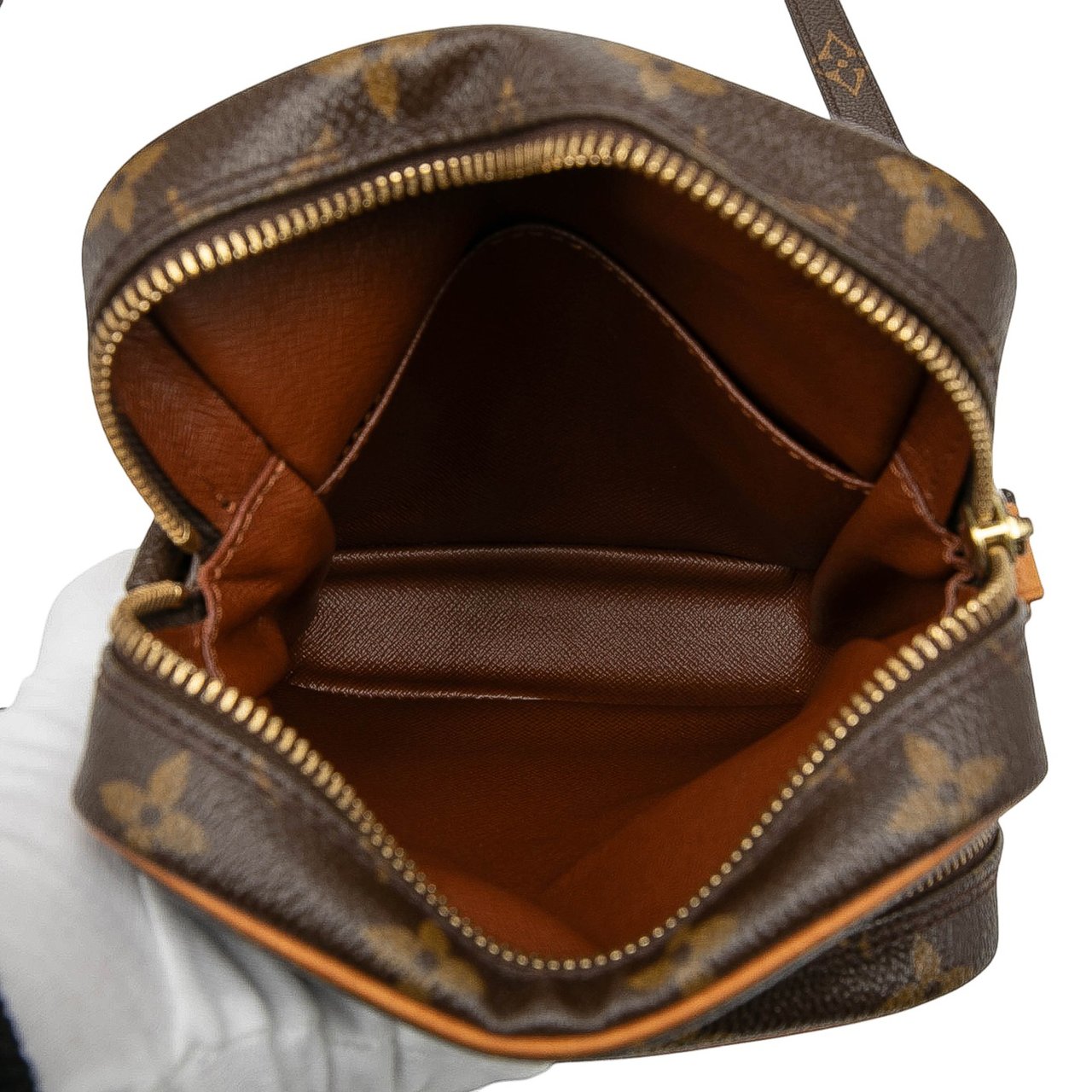 Louis Vuitton Monogram Amazone Bruin