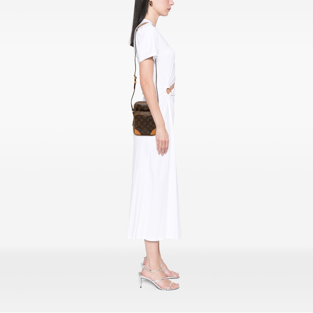 Louis Vuitton Monogram Amazone Bruin