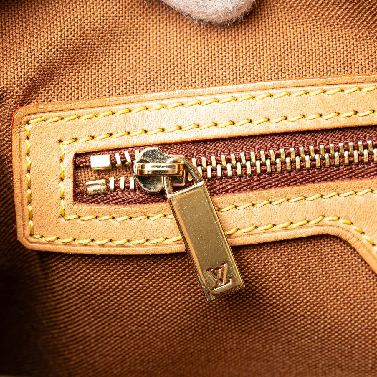 Louis Vuitton Monogram Mini Looping Bruin