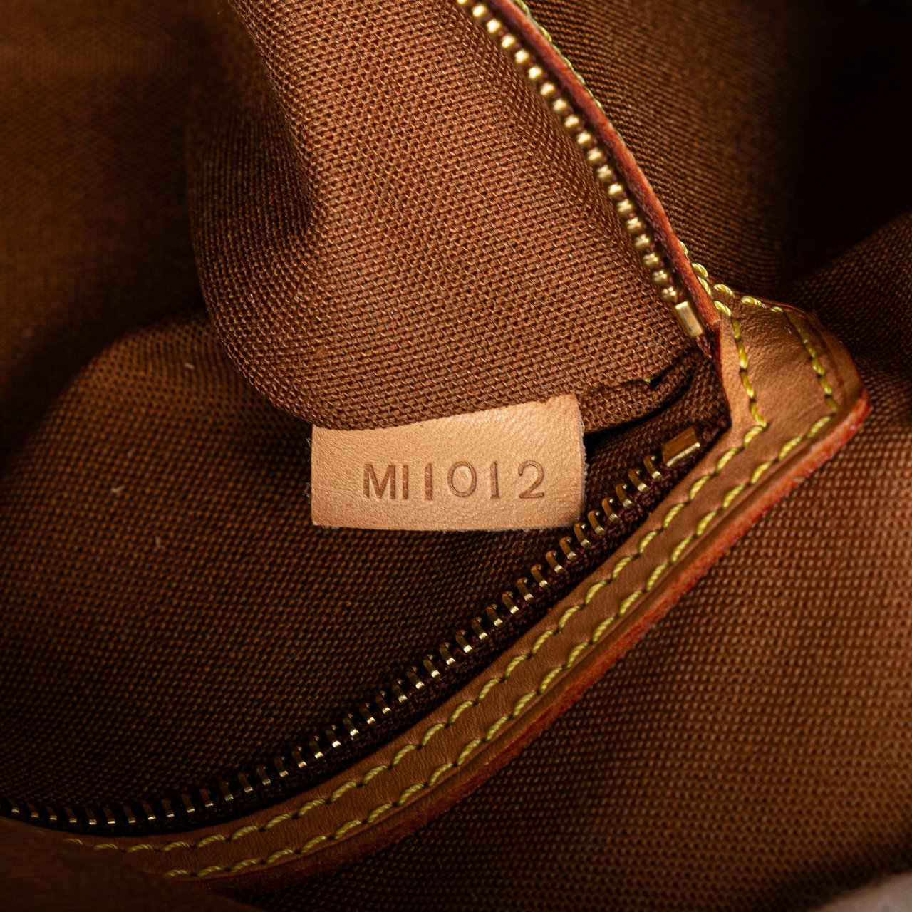 Louis Vuitton Monogram Mini Looping Bruin