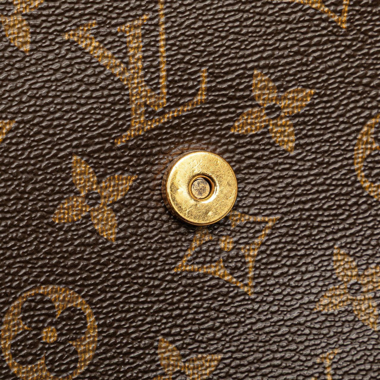 Louis Vuitton Monogram Mini Looping Bruin