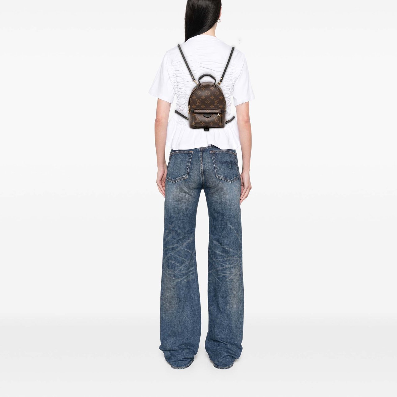 Louis Vuitton Monogram Mini Palm Springs Bruin