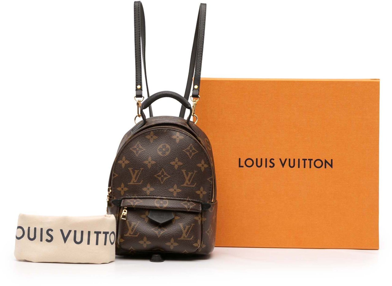 Louis Vuitton Monogram Mini Palm Springs Bruin