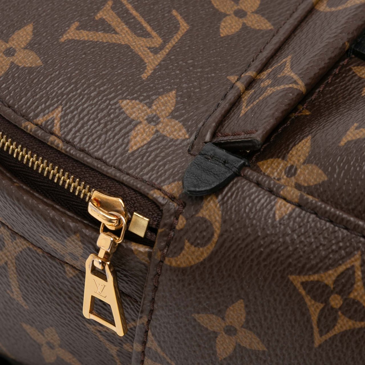 Louis Vuitton Monogram Mini Palm Springs Bruin