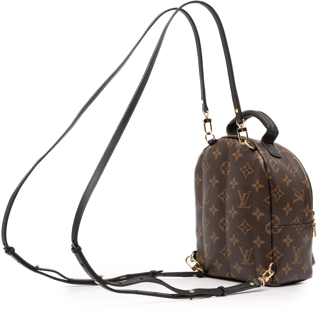 Louis Vuitton Monogram Mini Palm Springs Bruin