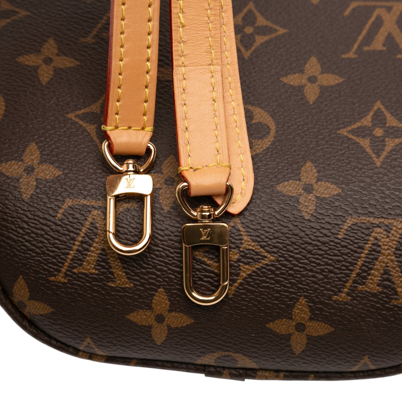 Louis Vuitton Monogram Mini Bumbag Bruin