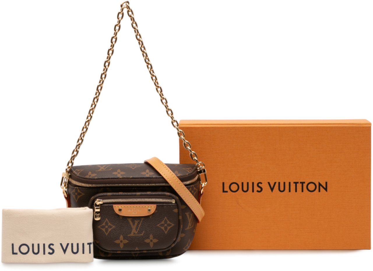 Louis Vuitton Monogram Mini Bumbag Bruin