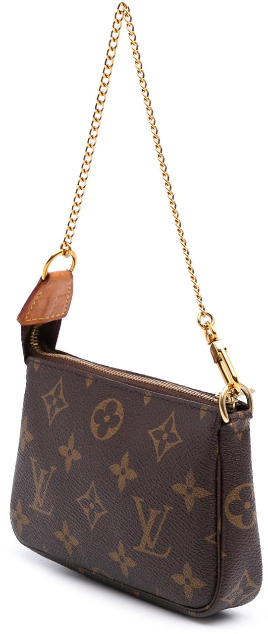 Louis Vuitton Monogram Mini Pochette Accessoires Bruin
