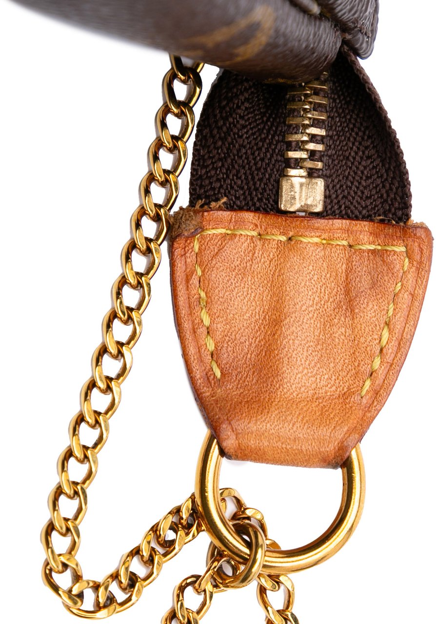 Louis Vuitton Monogram Mini Pochette Accessoires Bruin