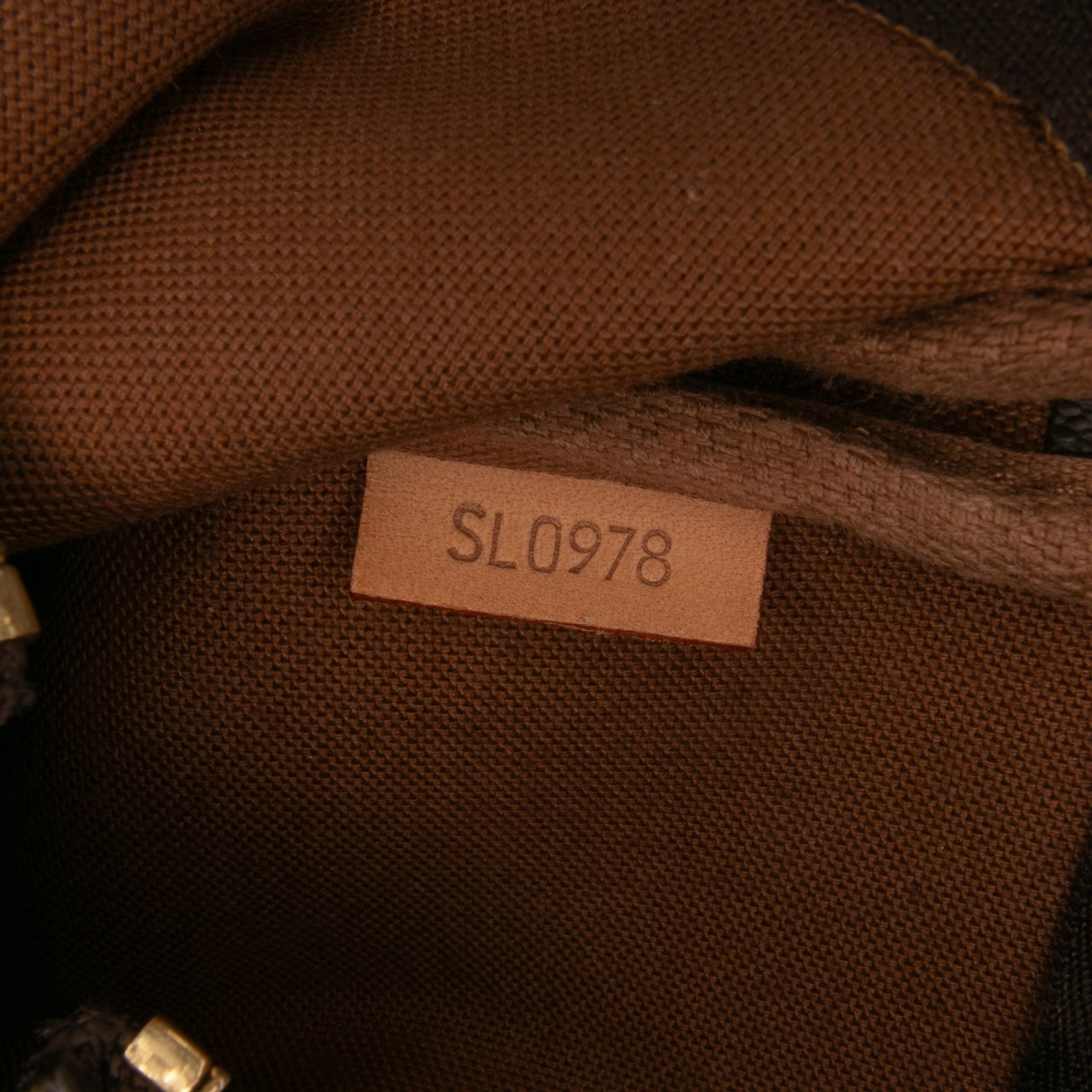 Louis Vuitton Monogram Pochette Accessoires Bruin