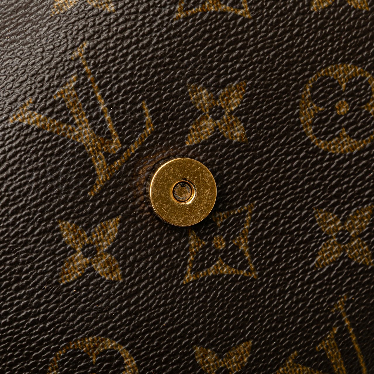 Louis Vuitton Monogram Mini Looping Bruin