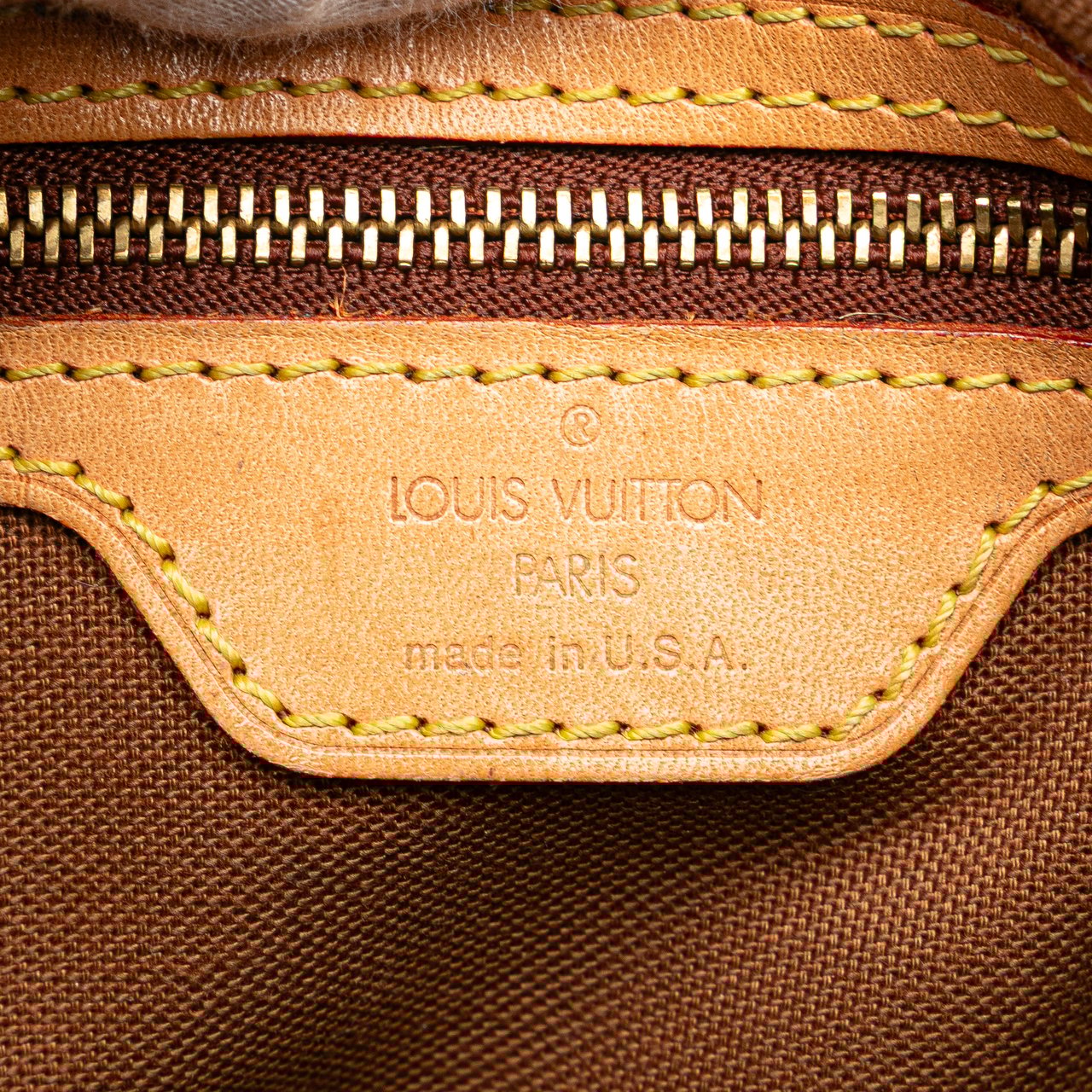 Louis Vuitton Monogram Mini Looping Bruin