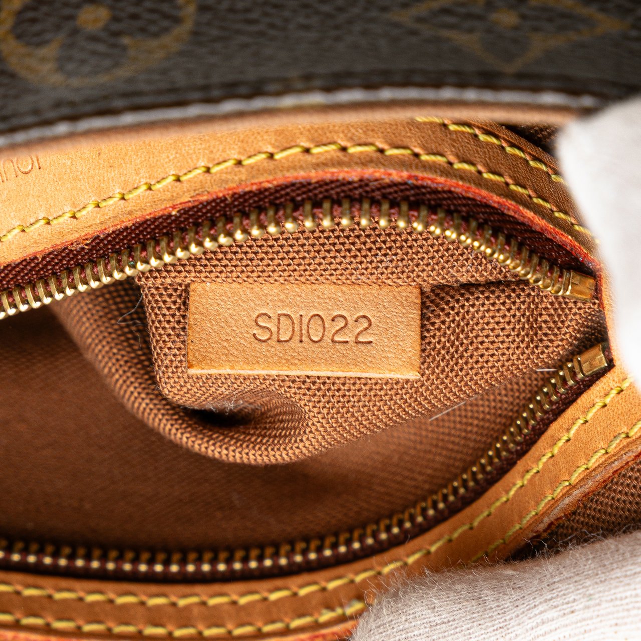 Louis Vuitton Monogram Mini Looping Bruin