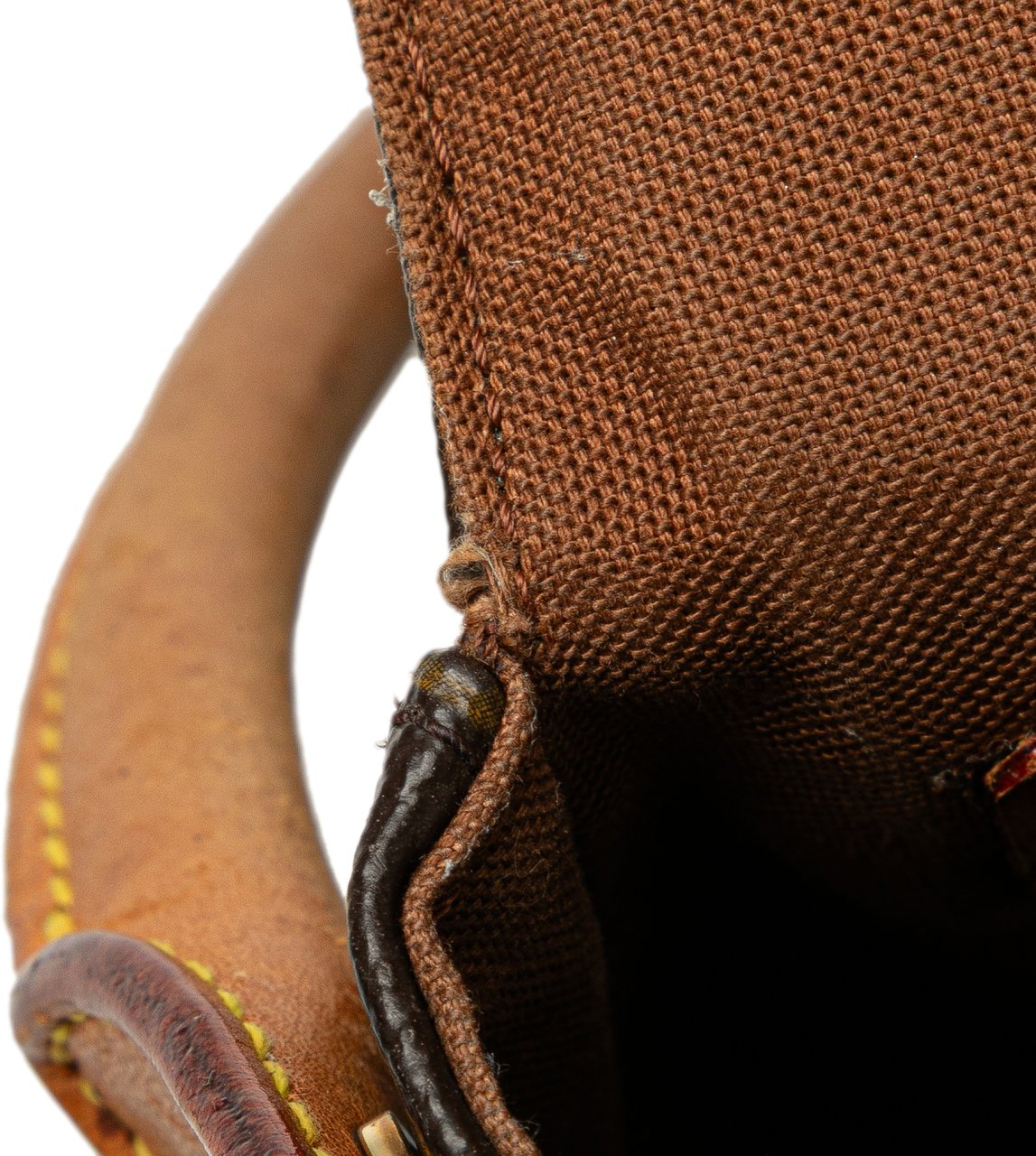 Louis Vuitton Monogram Mini Looping Bruin