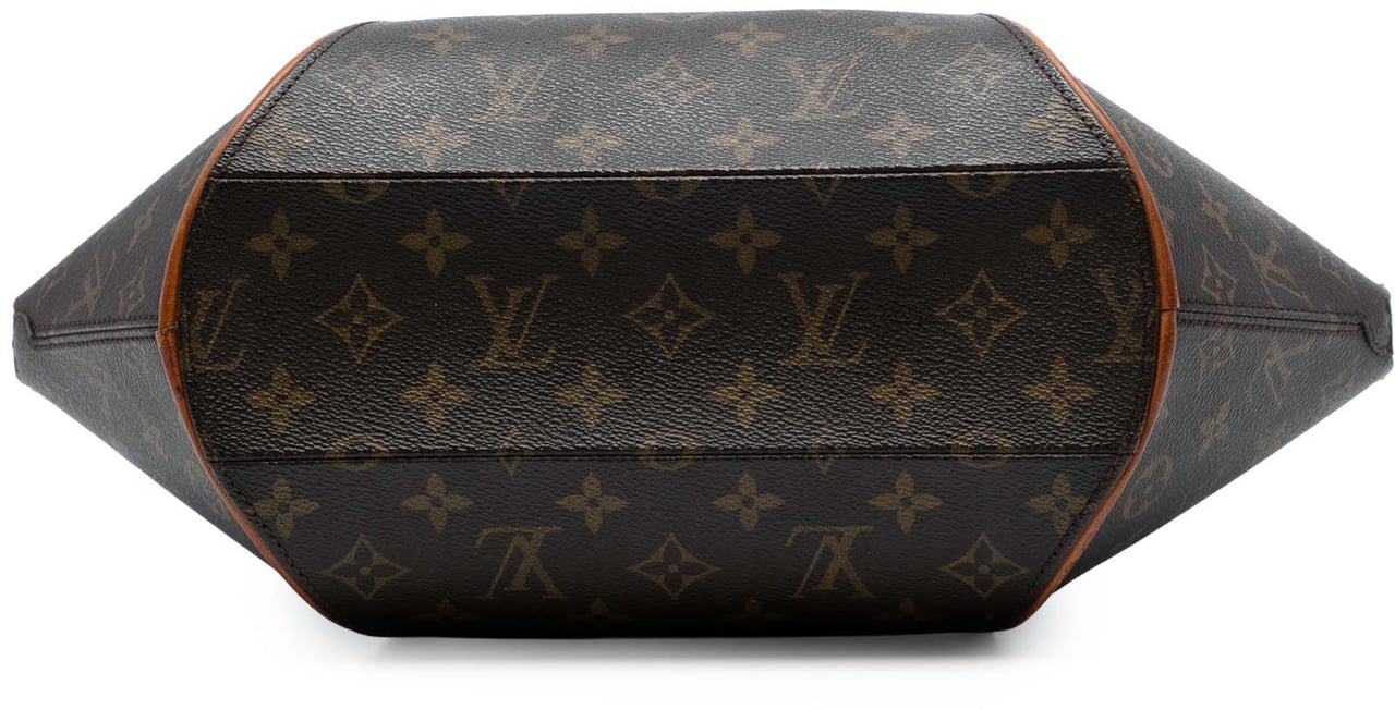 Louis Vuitton Monogram Ellipse PM Bruin