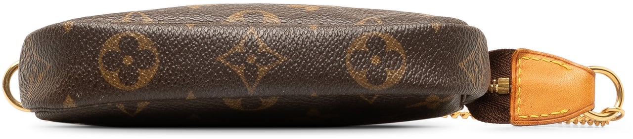 Louis Vuitton Monogram Mini Pochette Accessoires Bruin