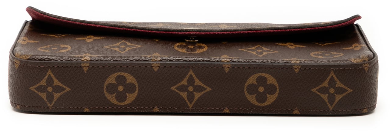 Louis Vuitton Monogram Pochette Felicie Bruin