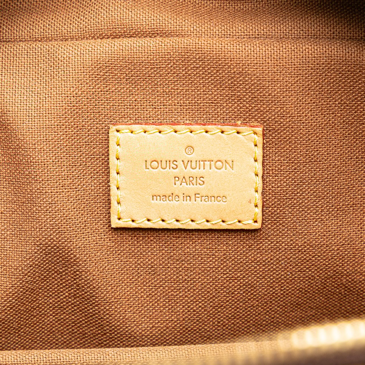Louis Vuitton Monogram Icare Bruin